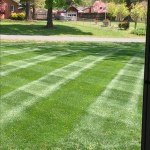 Meet your Posher, Cody